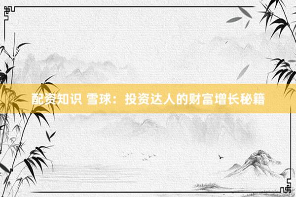 配资知识 雪球：投资达人的财富增长秘籍