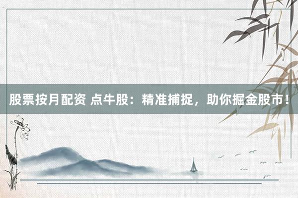 股票按月配资 点牛股：精准捕捉，助你掘金股市！