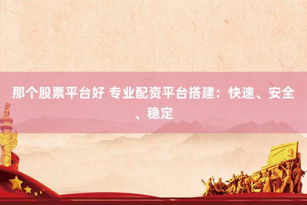 那个股票平台好 专业配资平台搭建：快速、安全、稳定