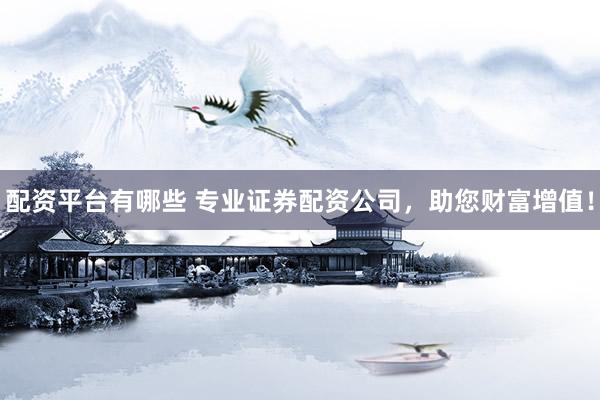 配资平台有哪些 专业证券配资公司，助您财富增值！