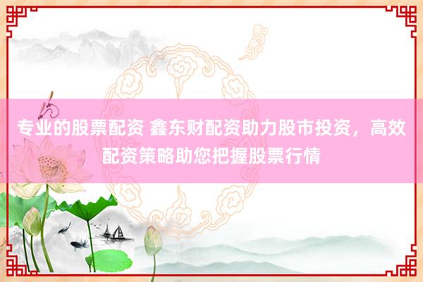 专业的股票配资 鑫东财配资助力股市投资，高效配资策略助您把握股票行情