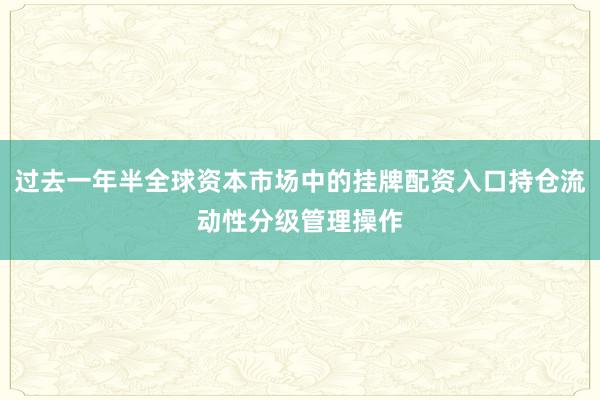 过去一年半全球资本市场中的挂牌配资入口持仓流动性分级管理操作