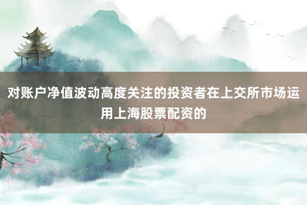 对账户净值波动高度关注的投资者在上交所市场运用上海股票配资的